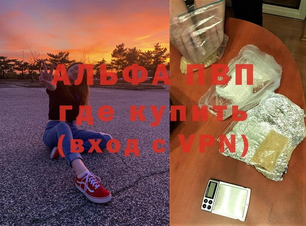 тгк Беломорск