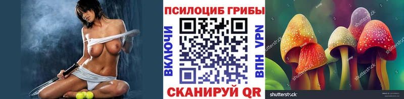 Псилоцибиновые грибы прущие грибы Покровск