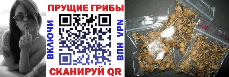 Галлюциногенные грибы ЛСД  сколько стоит  Покровск 